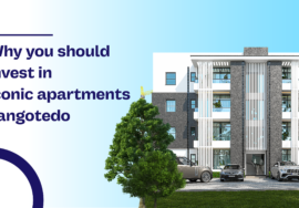 WHY YOU SHOULD INVEST IN ICONIC APARTMENTS SANGOTEDO